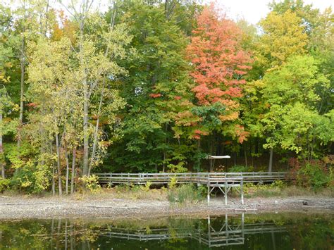 Maybury State Park - Michigan | State parks, Natural landmarks, Country ...