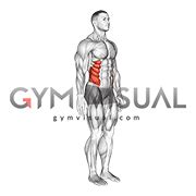 Spine (Lumbar) - Lateral Flexion