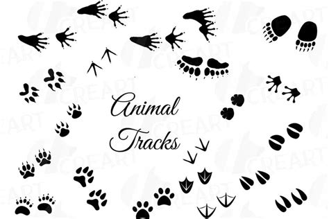 Animal Tracks, Woodland Animals footprints Clipart pack