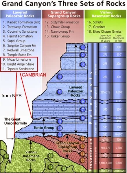 History of the Earth: February 16. Cambrian rocks of the Grand Canyon