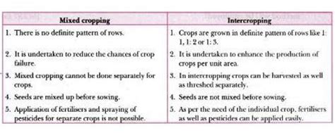 Difference between Mixed Cropping and Intercropping - Assignment Point