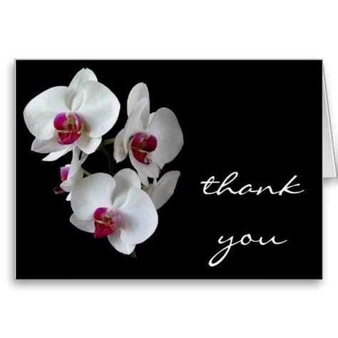 Pin on Orchid Thank You Cards