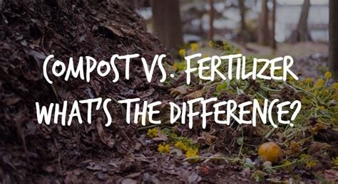 Compost vs. Fertilizers: What’s the Difference? - Epic Gardening