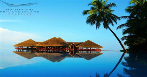 Madifushi private island Maldives | 38 Vacancy - Maldives Vacancies