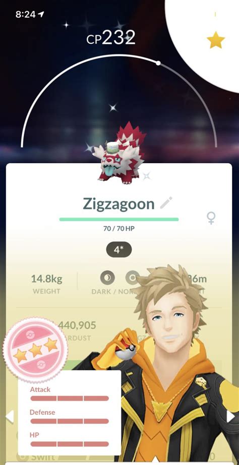 This is rarest Pokemon in Pokemon Go. Shiny 4 star galarian zigzagoon with a hat : r/pokemongo