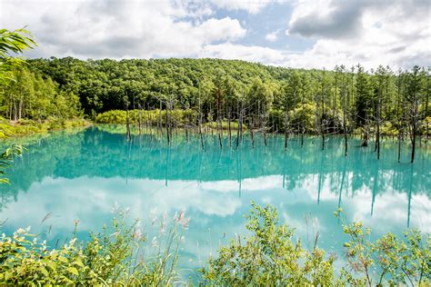 Blue Pond - Hokkaido Guide