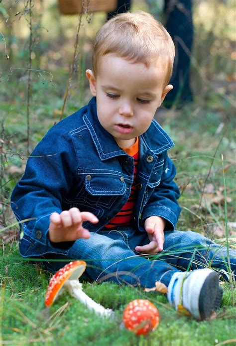 Cute Boy And Mushrooms Forest Children Sitting Photo Background And Picture For Free Download ...