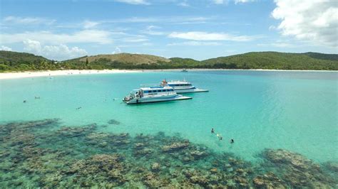 Culebra Snorkeling and Beach Tour – SALTours