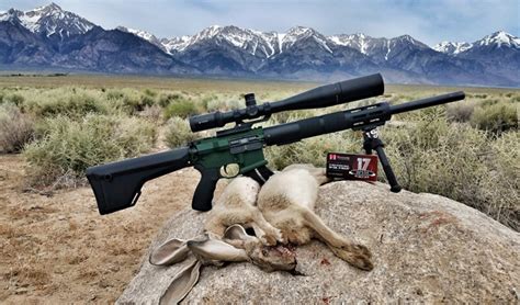 Why hunters are trading in traditional hunting rifles for the AR-15 ...