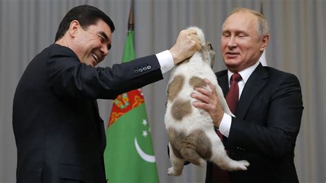 Putin And His Dogs : 30 Perfect Photos Of Vladimir Putin To Celebrate The Russian President S ...