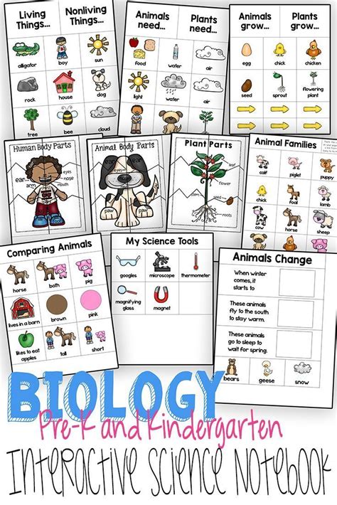 This interactive notebook is designed with preschool and kindergarten … | Interactive science ...