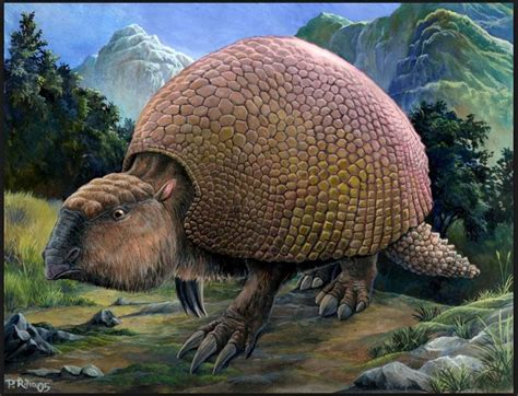 Farmer discovers 10,000-year-old glyptodon fossil in Ezeiza, page 1