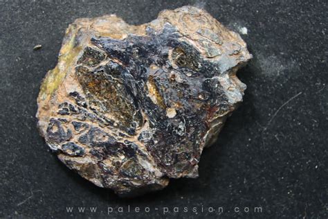 Pallasite Meteorite | ubicaciondepersonas.cdmx.gob.mx