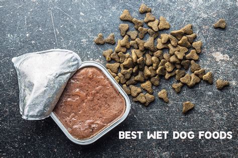 8 Best Wet Dog Food 2022 - Vet Recommended