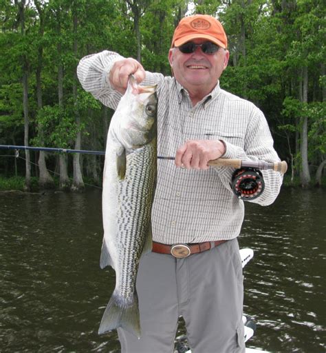 >Neuse River Fishing is Red Hot! | New Bern’s Local News and ...