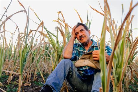 Sad Farmer Sitting Drought Stock Photos - Free & Royalty-Free Stock Photos from Dreamstime