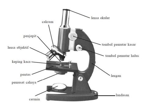 Mikroskop Cahaya : Pengertian, Bagian-Bagian, dan Cara Penggunaan Mikroskop