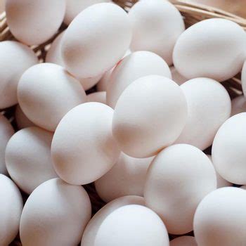 White Chicken Eggs - Buy Farm Fresh Chicken Eggs Product on Alibaba.com