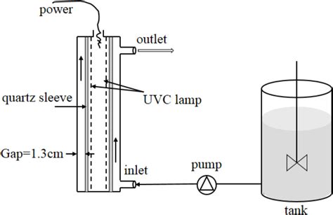 Frontiers | Induction of Escherichia coli Into a VBNC State by Continuous-Flow UVC and ...