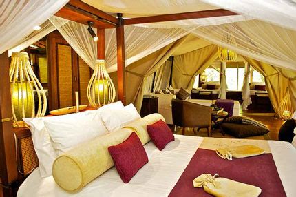 Mara Intrepids Tented Camp | Safari Camps in Maasai Mara, Kenya | Africa Discovery