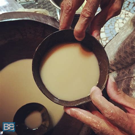 Why You Should Definitely Get Kava Drunk In Fiji! | Backpacker Banter