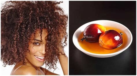 Palm kernel oil uses for skin and hair - Legit.ng