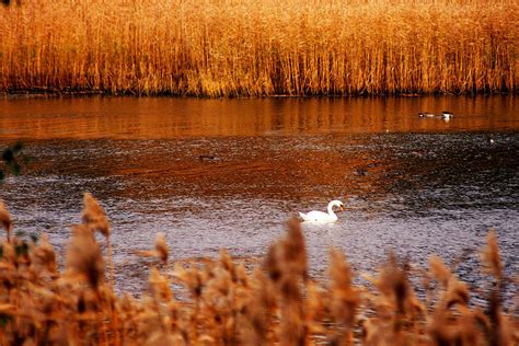 Spring Begins Today | Finland Today | News in English | finlandtoday.fi