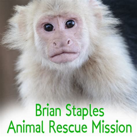 Today Show: Brian Staples Rescues Animals & Monkey from Hurricane Ivan