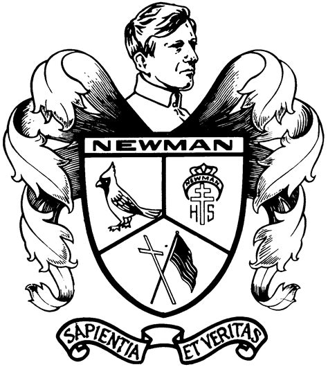 1955 Newman Logo | Newman, History, Male sketch