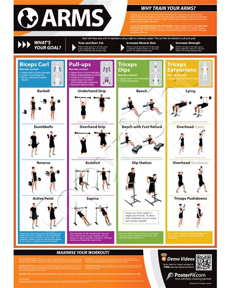 Dumbell Workout Chart | Arm Workouts | PosterFit | Workout chart, Workout, Arm workout