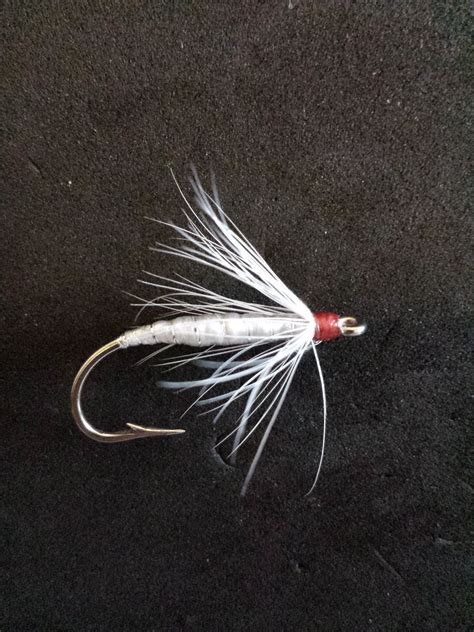 Cole Wilde’s Shad Fly Variation | Fly fishing flies pattern, Fly ...