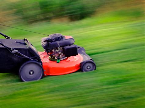 Racing Lawn Mowers - Is Lawn Mower Racing A Real Sport? | Gardening Know How