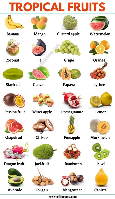 Tropical Fruits: List of 25+ Popular Tropical Fruits in English - ESL ...