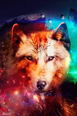 Pinterest | Pantalla de perro, Fondo de pantalla lobo, Fotos de lobo