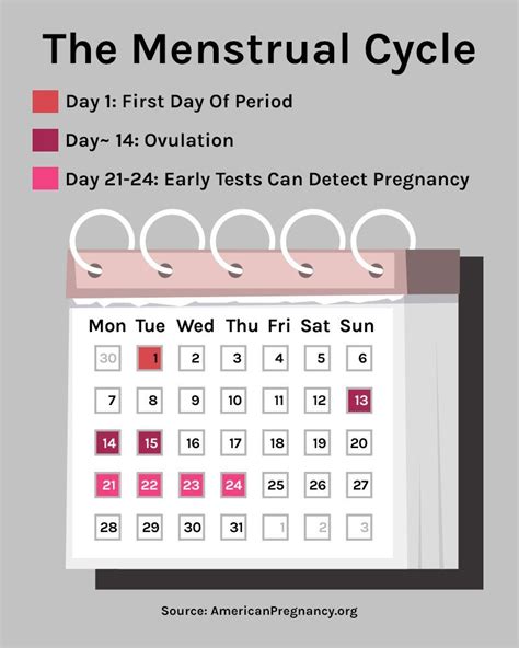 This ovulation calendar will help you finally understand your cycle – Artofit