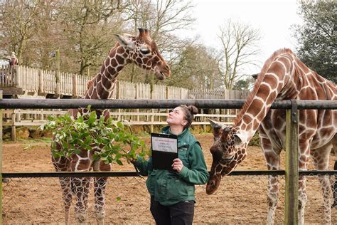 ZSL Whipsnade Zoo completes its annual stocktake | Discover Animals