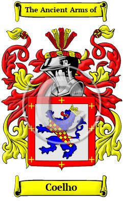 Coelho Name Meaning, Family History, Family Crest & Coats of Arms