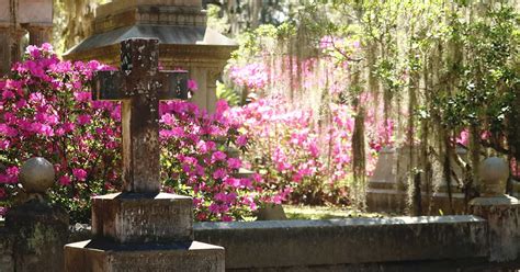 Bonaventure Cemetery Tour: Top Tips & Must-See Spots - Savannah First-Timer's Guide