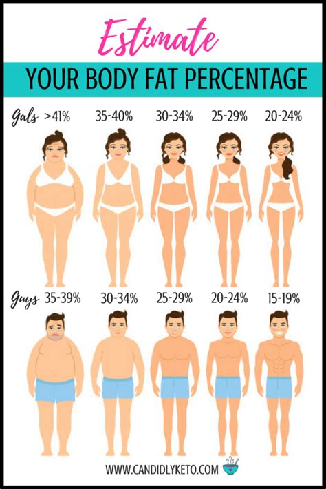 Body fat calculator using measurements - gertyhaven