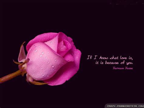 Pink Love Quotes Wallpapers - Wallpaper Cave