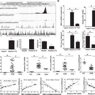 Expression and histone modifications of the IL-8 gene. ( A ) IL-8 gene... | Download Scientific ...