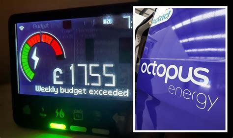 Octopus Energy hands millions lifeline to save £100 on bills this winter with smart meters ...