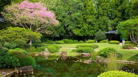 Brisbane Botanic Gardens in Brisbane, Queensland | Expedia