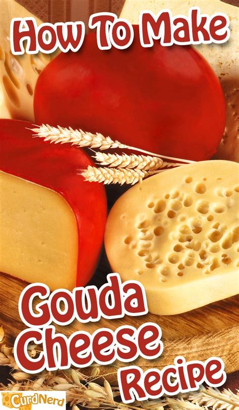 How to make gouda cheese home yum recipe – Artofit