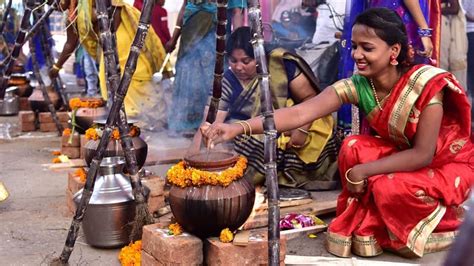 Pongal celebrated in Tamil Nadu, Puducherry; Jallikattu peps up festive zeal | Tamil Nadu News ...