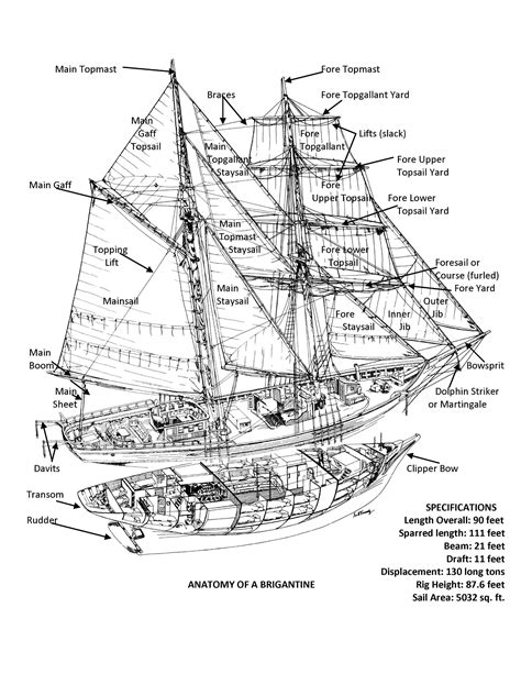 Ship Anatomy