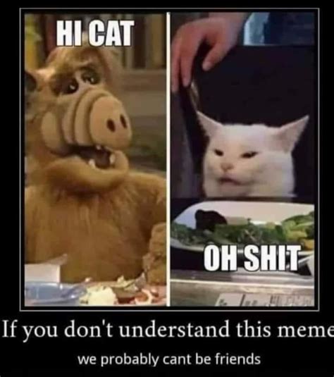 The best Alf memes :) Memedroid