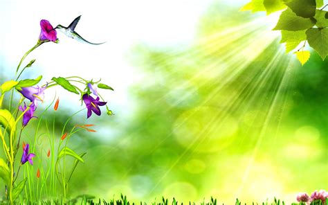 3d Nature Backgrounds For Powerpoint