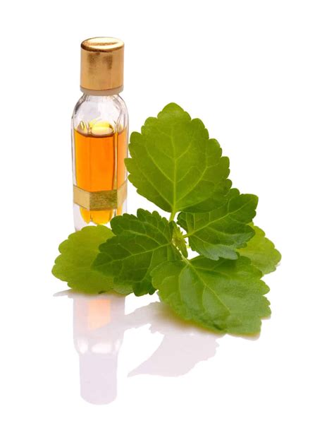 17 Fascinating Uses of Patchouli Essential Oil (2019 Update)