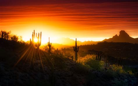 6 Photographers on Capturing Timeless Images of the Desert